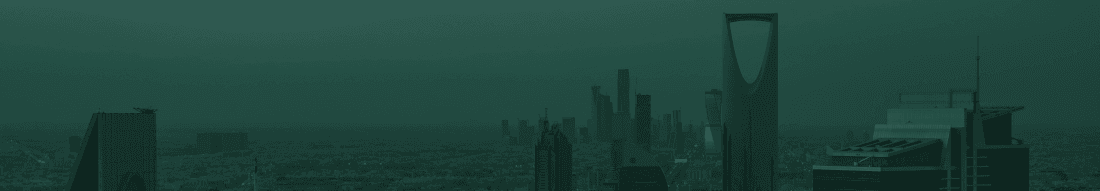 Riyadh city which is a target city to set up a company in a leading market